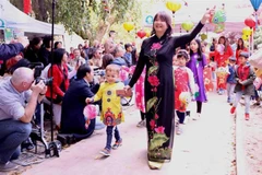 Vietnamese family festival held in Belgium 