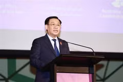 Remarks by NA Chairman Vuong Dinh Hue at Australia - Vietnam Policy Institute