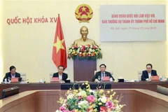 Special policies necessary for HCM City's development: NA leader