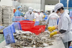 Efforts made to boost seafood cooperation between Vietnam, India