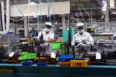 Vietnamese enterprises limited in global supply chain