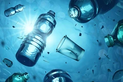 Green consumption – key for plastic waste reduction