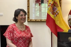Spain committed to accompanying Vietnam in renewable energy growth: ambassador