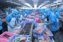 Updated edition of Vietnamese seafood company map to be released