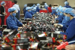 Foreign investors interested in Vietnam's future workforce 