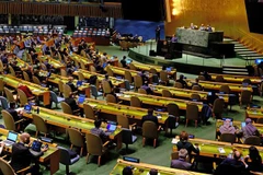 Vietnam to help promote consensus as UN General Assembly Vice President: official