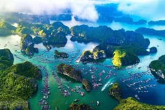 Vietnam looks to set up blue economy partnership group