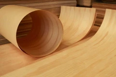 US probe conclusion deadline on Vietnamese plywood imports extended