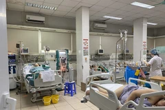 Hanoi faces high risk of dengue fever outbreak