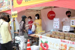 Vietnamese fruits attract attention at festival in Tokyo