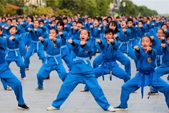 Fifth Vovinam Ambassador Championship concludes in Algeria