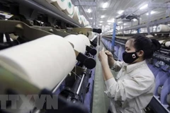 Russian expert: Vietnamese economy stable in 2022