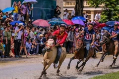 Tourism and cultural activities to be held at Bac Ha festival