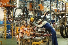 FDI influx prompts Vietnam to improve business environment: experts