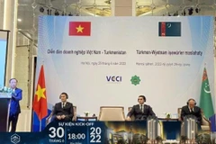 Vietnamese, Turkmenistan firms enhance business cooperation