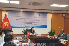 Vietnam seeks to increase coal import from South Africa
