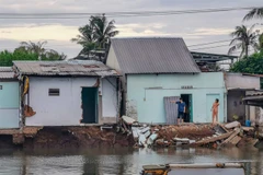 Can Tho to build embankment along erosion-prone Tra Noc River