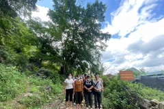 Cao Bang border guards prevent 38 illegal migrants