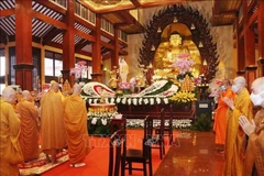 Right to freedom of belief, religion respected, protected in Vietnam 