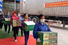 Phu Tho ships first batch of Doan Hung pomelo to Russia