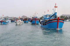 Quang Ngai invests in seaport infrastructure
