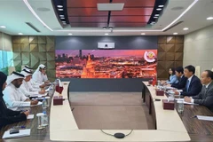 Vietnam, Qatar hold second deputy foreign ministerial political consultation