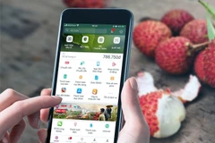 There is a heated race towards digital banking going on in Vietnam, with banking services having found their way into every corner of life. (Photo: VNA)