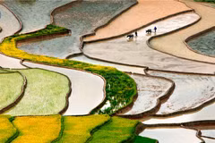 HCM City association to host first international photography fest
