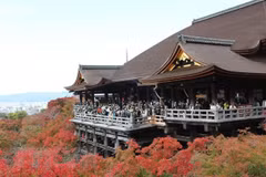 Vietnam’s travel firms move to optimise Japan’s tourism rebound