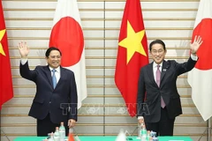 Vietnam-Japan relations growing robustly: expert 