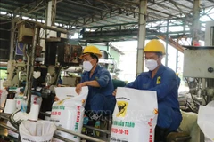 Fertiliser exports set new record