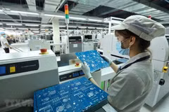 Vietnamese, Indian localities boost trade and investment ties