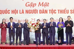 Party and State leaders meet with NA ethnic minority deputies