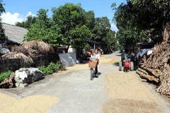 Resettled residents in Tuyen Quang see fruits of State's investment
