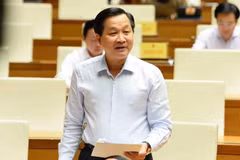 Monetary policies to be managed flexibly to rein in inflation: Deputy PM