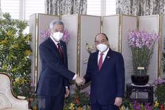 Vietnam, Singapore reach consensus on directions for all-round ties