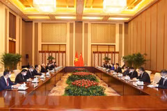 Party chief affirms support for Vietnam-China legislative ties