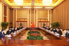 Party chief affirms support for Vietnam-China legislative ties