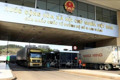 Vietnam-China relationship developing positively, healthily: Chinese journalist