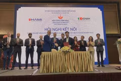 Hanoi Association of Main Industrial Products seeks cooperation opportunities with Italy