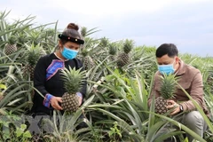 WB, Japan support greater access to legal services for the poor in Vietnam