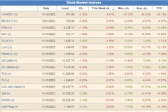 Vietnamese stock market loses 20.2 billion USD in first half of November