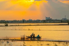 Fulbright University helps improve natural capital management in Mekong Delta 
