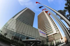 EVN striving to be strong, sustainable economic player to 2030