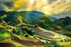 Photo contest launched to promote tourism
