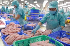 Member of European Parliament highly values Vietnam’s stature