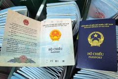 Germany temporarily recognises Vietnam’s new passport version