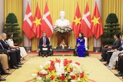 Vice President meets with Danish Crown Prince