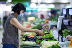 Malaysia rolls out measures to stabilise commodities’ prices
