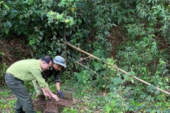 112 wild animals released into national park in southern province